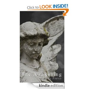 Kindle Gift Card Idea - Awakening